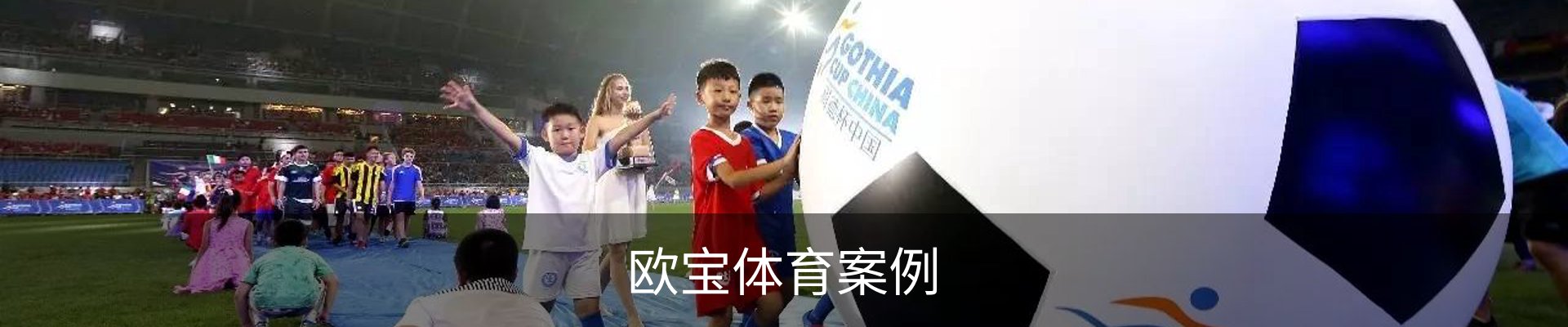 欧宝体育案例